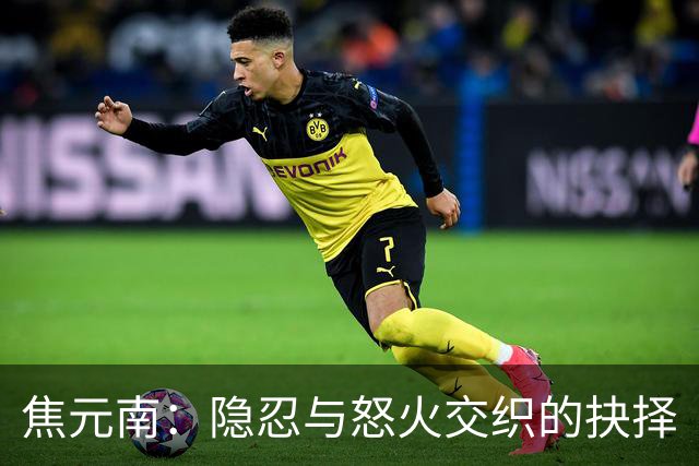 焦元南：隐忍与怒火交织的抉择